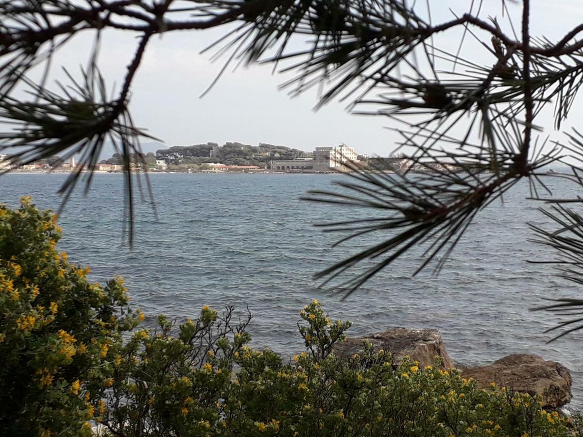 Bandol Nature Et Loisirs: Parking/ Piscine Екстериор снимка